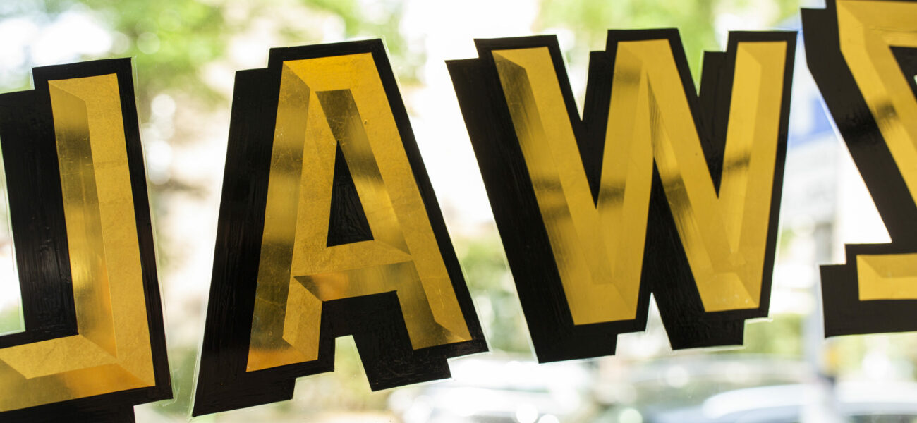 Zwarte Zwaluw